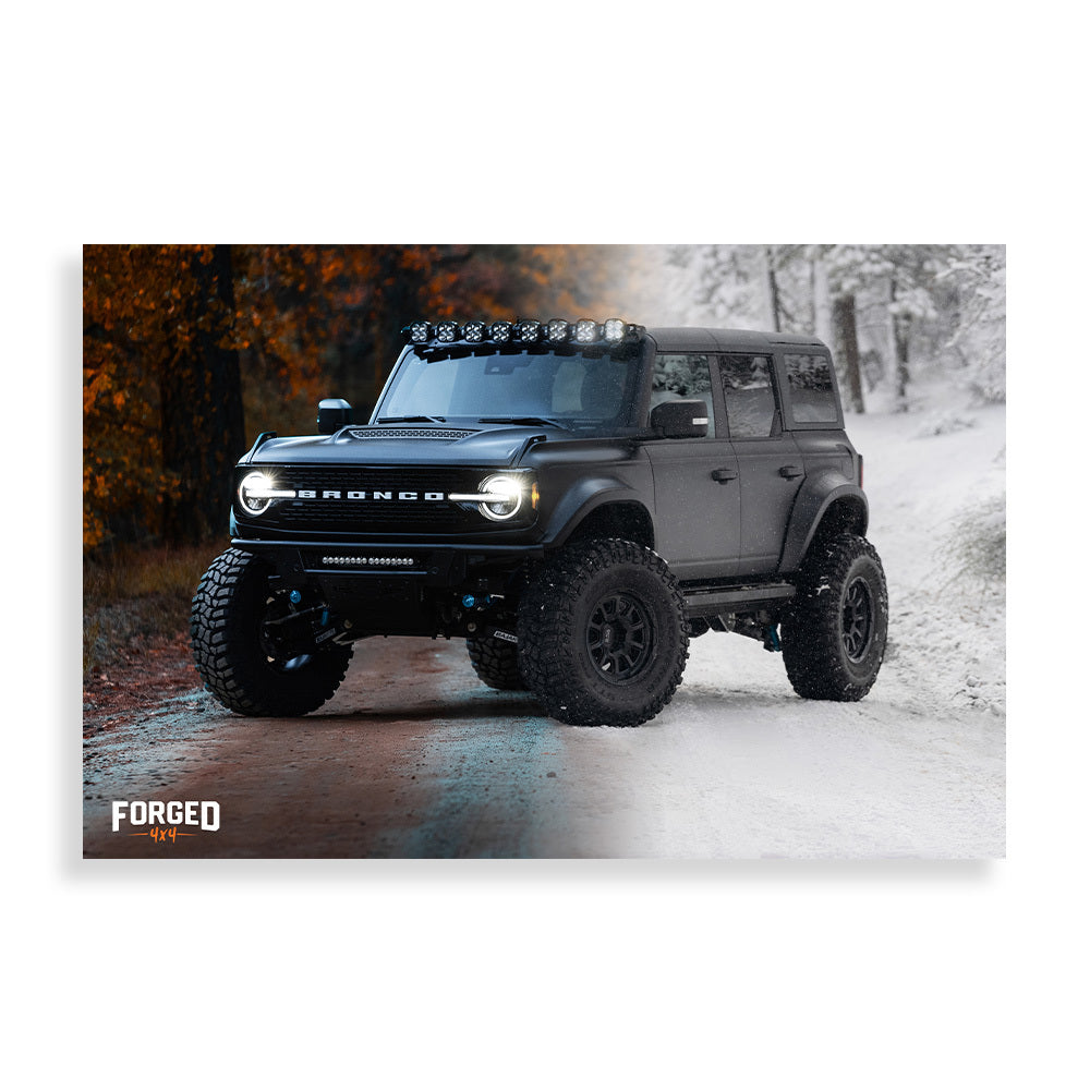 Pegasus Forest/Snow Poster