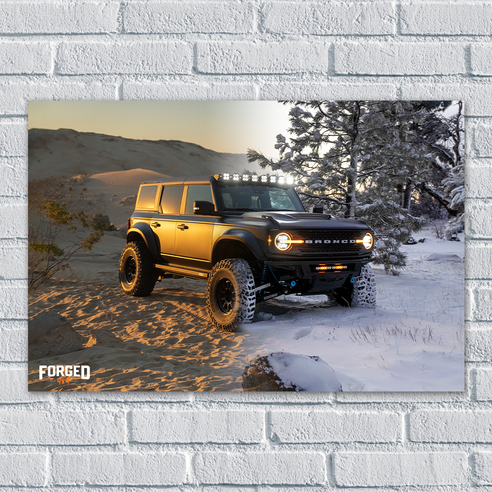 Pegasus Snow/Desert Poster