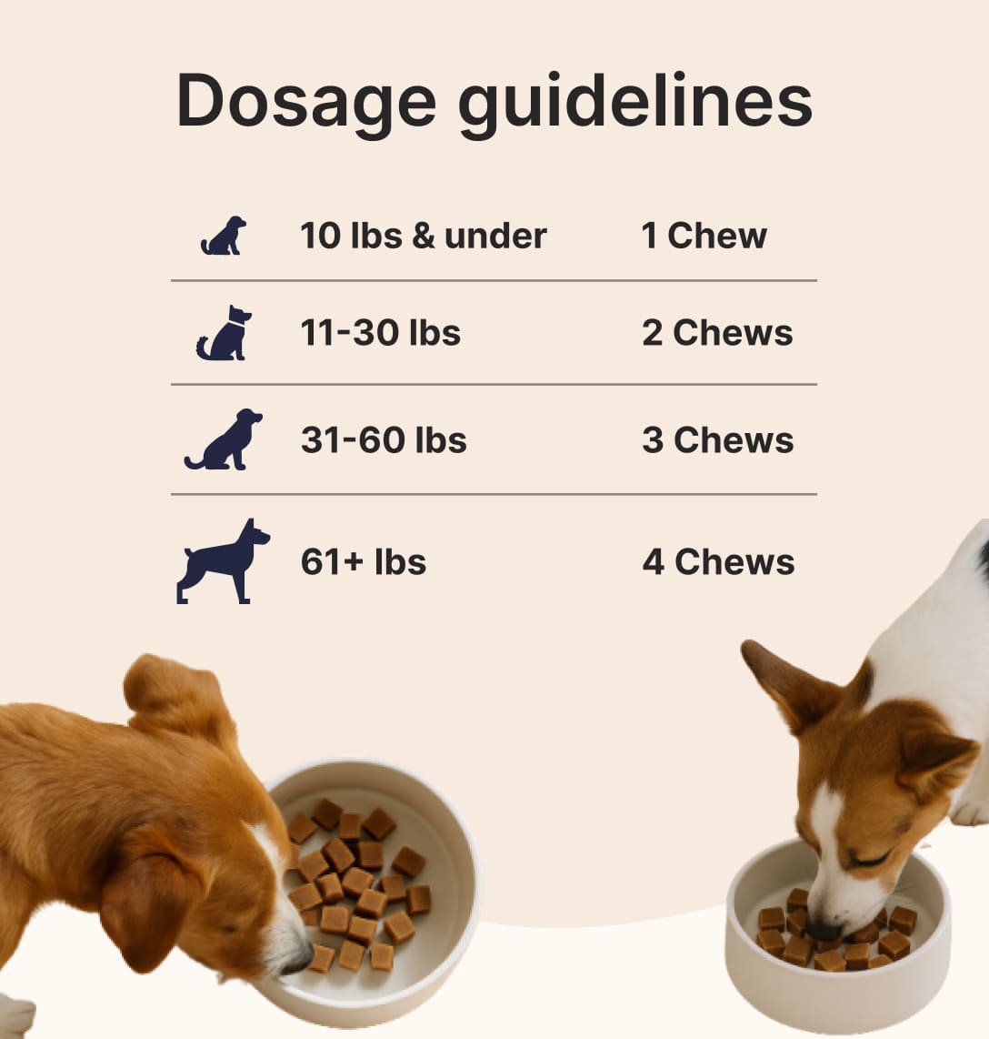 Daily Multivitamin for Dogs 1+1 Bundle(Chicken & Beef)