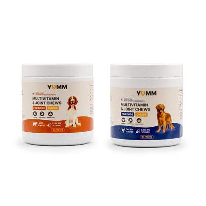 Daily Multivitamin for Dogs 1+1 Bundle(Chicken & Beef)