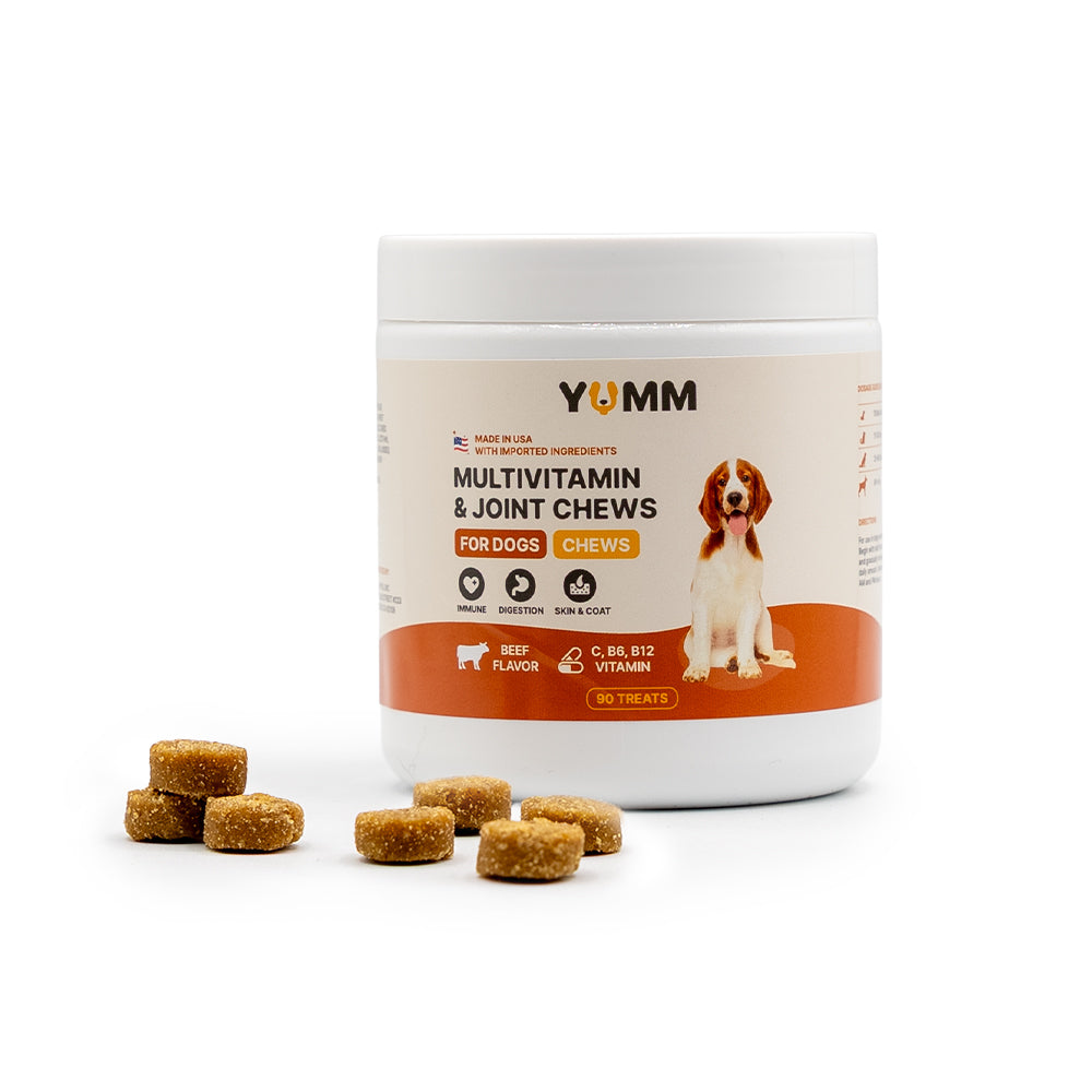 Daily Multivitamin for Dogs 1+1 Bundle(Chicken & Beef)