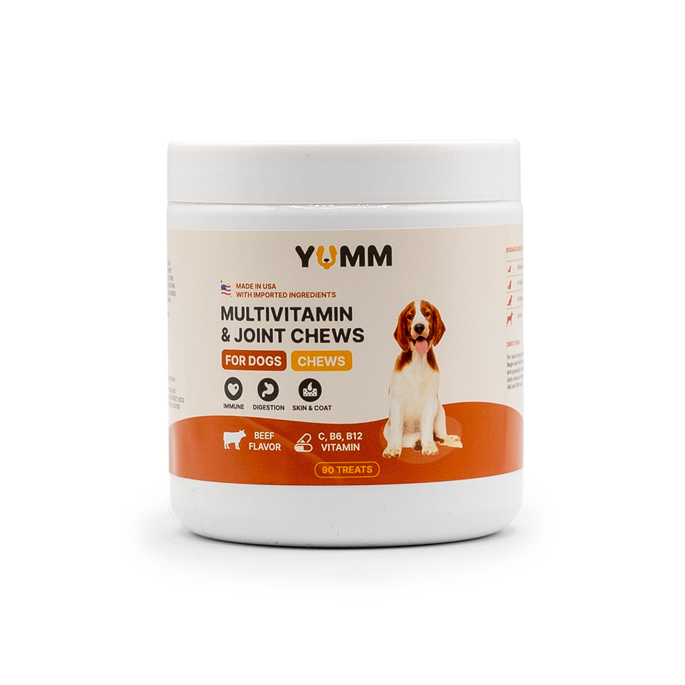 Daily Joint + Multivitamin Soft Chews for Dogs