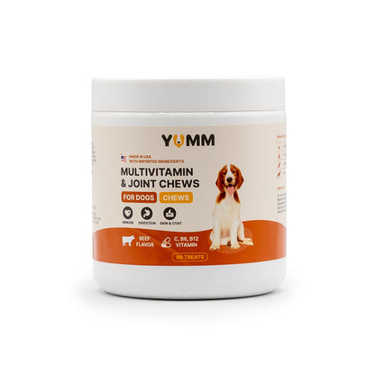 Daily Joint + Multivitamin Soft Chews for Dogs